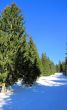20120118-ski-joux-vaulion-225.jpg