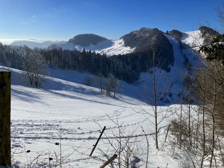 Bereich Ex-Skilift Chellenchöpfli, Sicht zum Vogelberg, 12. Januar 2024
