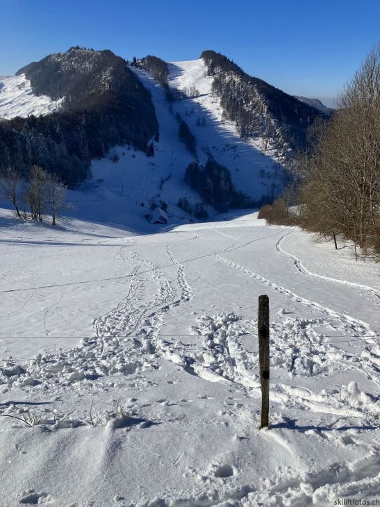Bereich Ex-Skilift Chellenchöpfli, Sicht zum Vogelberg, 12. Januar 2024
