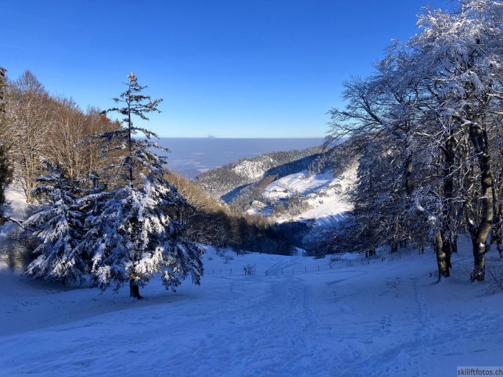 Hier fuhr der Galeriebetreiber im Januar 1985 ein Skirennen (auf der von oben gesehen rechten Piste neben dem Vogelberg-Skilift)
