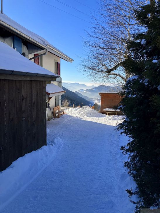Berghaus Vogelberg, 12. Januar 2024
