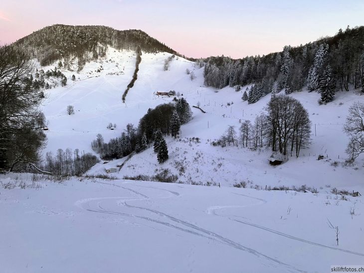 Bereich der Pisten am Ex-Skilift Vogelberg, 12. Januar 2024
