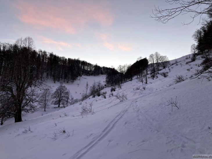 Bereich der Pisten am Ex-Skilift Vogelberg, 12. Januar 2024
