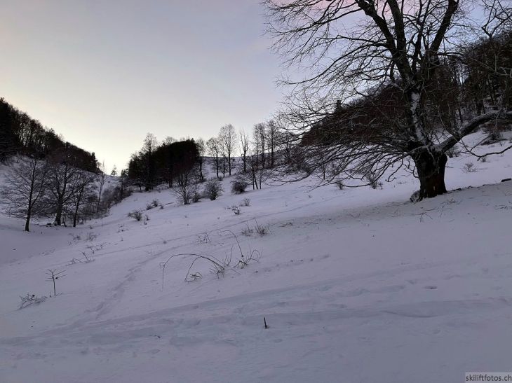 Bereich Ex-Skilift Vogelberg, 12. Januar 2024
