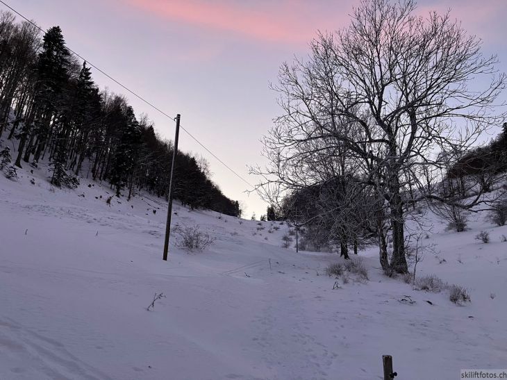Bereich Ex-Skilift Vogelberg, 12. Januar 2024

