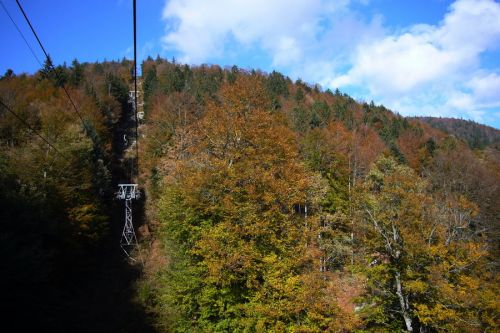 22. Oktober 2009
