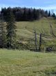 200010-weissenstein-365.jpg