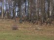 20061103-weissenstein-0430.jpg
