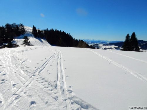 20190214-fischenthal-080.jpg
