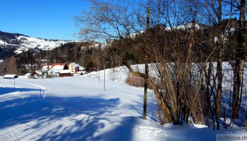 20190214-fischenthal-189.jpg