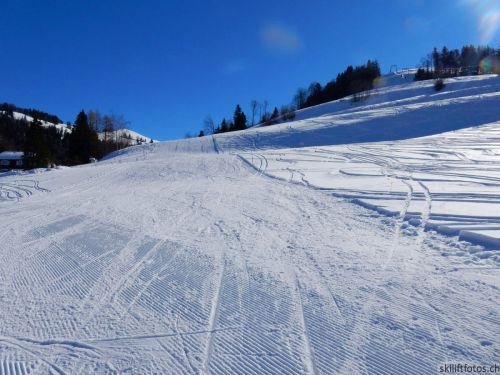20190214-fischenthal-192.jpg