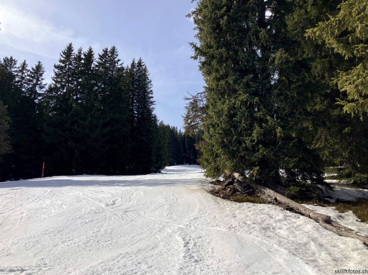 9. März 2026
