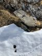20260309-flumserberg-102.jpg