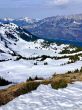 20260309-flumserberg-108.jpg
