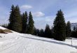 20260309-flumserberg-140.jpg