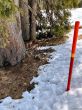 20260309-flumserberg-142.jpg