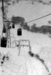 19860202-rachoegna-02.jpg