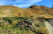 20160929-sedrun-3742.jpg