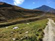 20160929-sedrun-3879.jpg