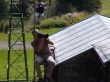 200509-cungieri-9050294.jpg