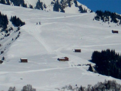 14. März 2006: Demontage der Stützen
