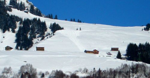 14. März 2006: Demontage der Stützen
