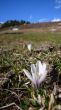 20070408-cungieri-0147.jpg