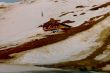 19980201-schneemangel-milez-08.jpg