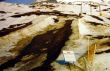19980228-dieni-03.jpg