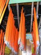 20051107-dienimilez-331.jpg