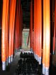 20051107-dienimilez-334.jpg