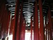 20051107-dienimilez-335.jpg