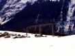 20060420-milezcoulmvalalpsu-100.jpg