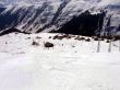 20060420-milezcoulmvalalpsu-105.jpg