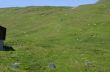 20060716-milez-coulmval-demontage-a1777.jpg
