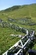 20060716-milez-coulmval-demontage-a1815.jpg
