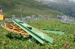 20060716-milez-coulmval-demontage-a1820.jpg