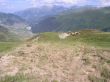 20060716-milez-coulmval-demontage-b0967.jpg