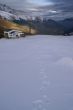 20061113-mulinatsch-milez-5123.jpg