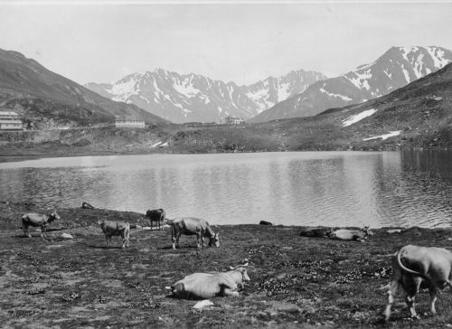 Oberalppass, vermutlich 1930er-Jahre (Archiv Fam. Jacomet / Emil Goetz, Photograph, Luzern)
