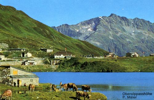 Skilift Calmut im Sommer, Detail aus dem Sedruner Prospekt, ca. 1968
