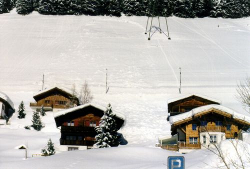 24. Februar 1999, Schneebrett oberhalb der FO-Linie
