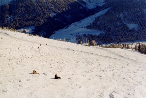 25. Februar 1999, Cungieri
