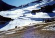 19980301-surrein-06.jpg