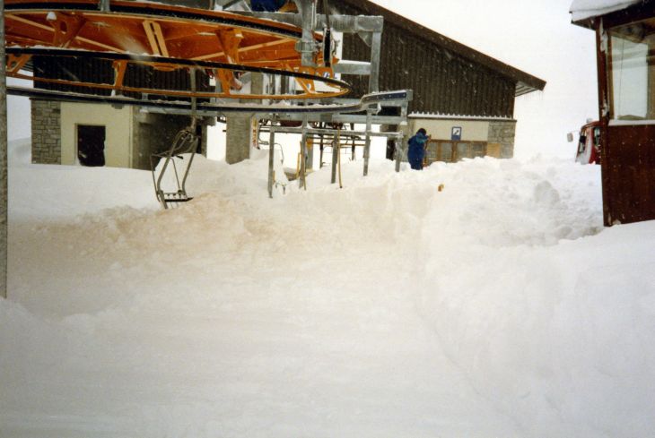 19900301-vivian04.jpg