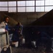 19881111-valval-anfang-03.jpg