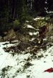 20001212-dieni_04.jpg