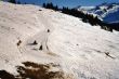 20020205-wenigschnee-04_03.jpg