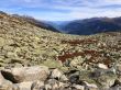 20191012-b-cuolmdavi-4351.jpg
