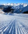 20110125-sedrun-2107.jpg